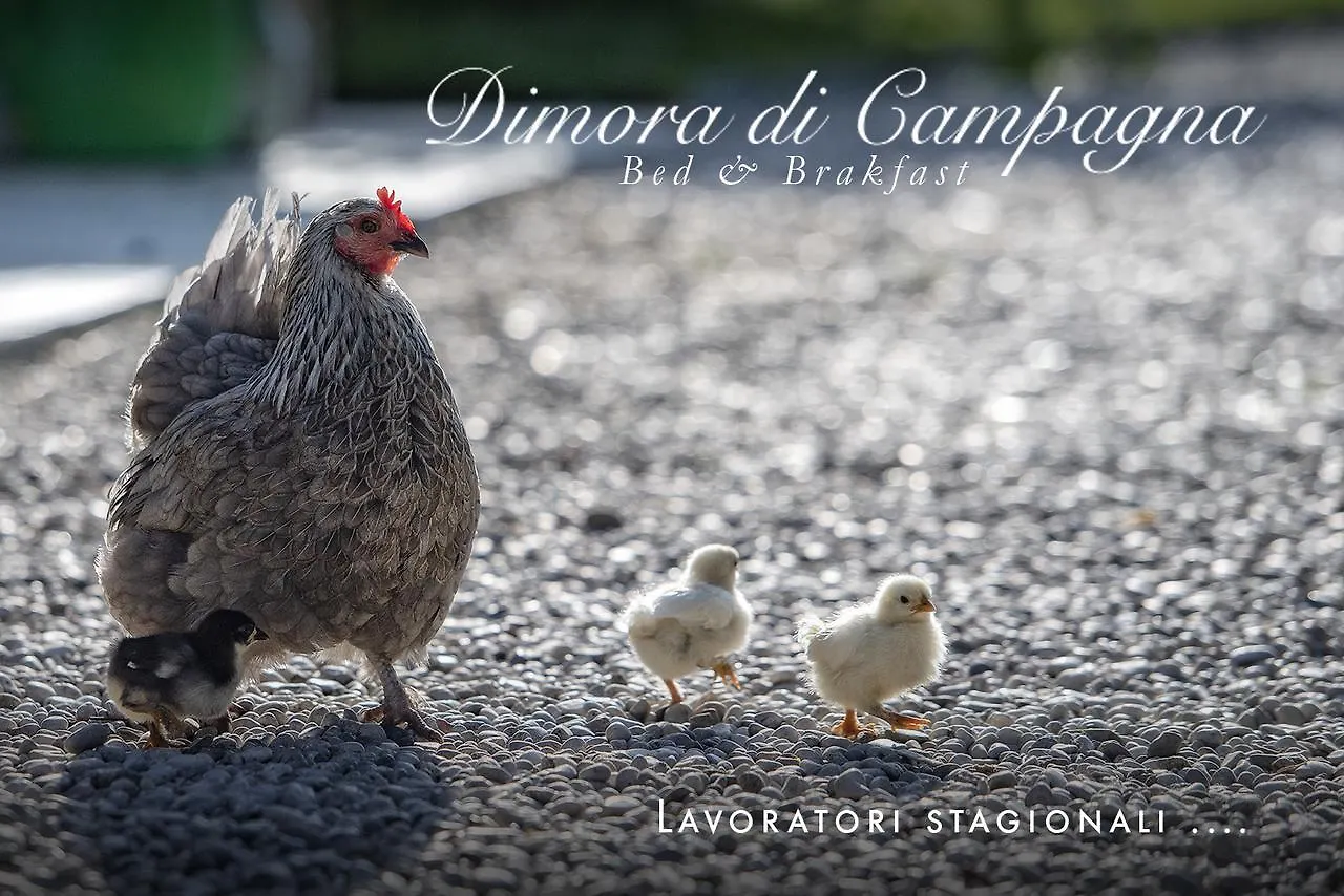 Bed and Breakfast Dimora Di Campagna Casale sul Sile Frühstückspension